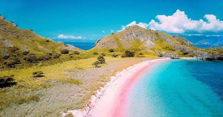 “Keajaiban Pasir Pink Labuan Bajo: Keindahan Pantai Berwarna Merah Muda yang Memukau!”